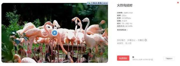 视频剪辑资源在哪下载_视频剪辑资源网_视频剪辑资源哪里下载