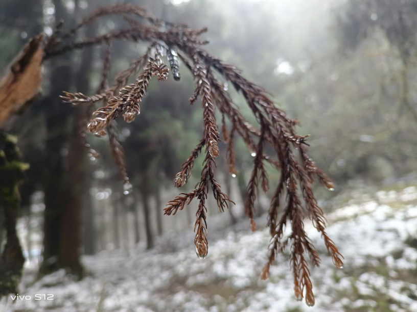 相册里的视频怎样剪辑_视频相册剪辑里怎么剪_剪辑相册里的视频